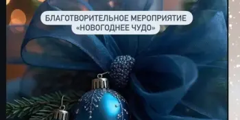 Новогоднее чудо